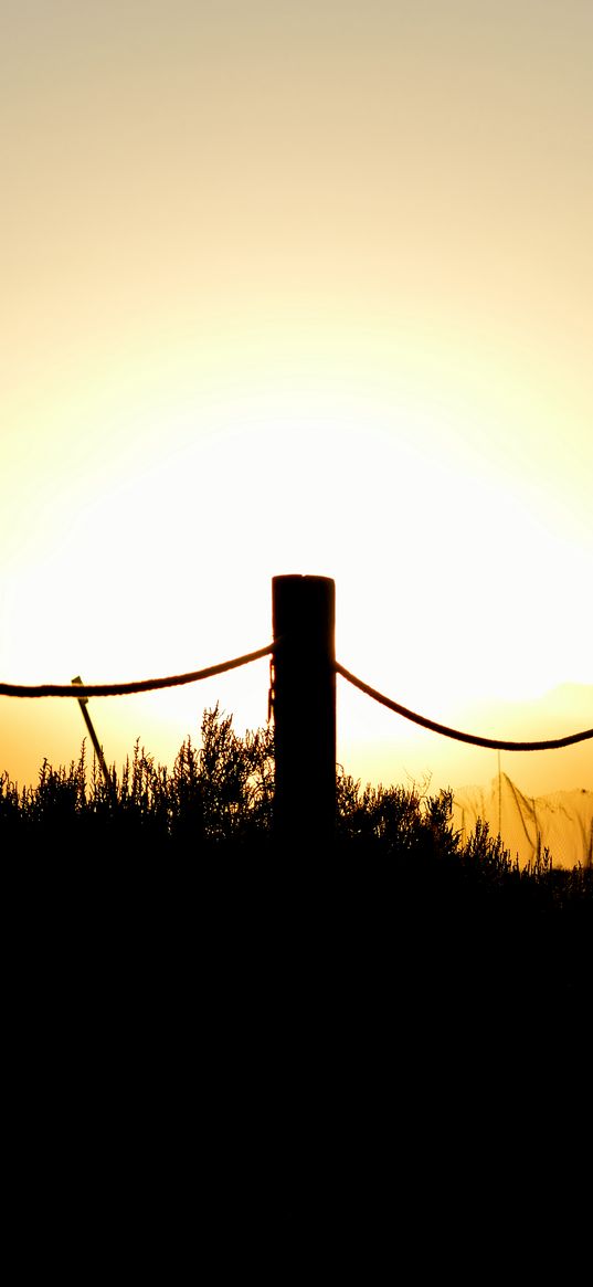 pilings, grass, silhouette, dark