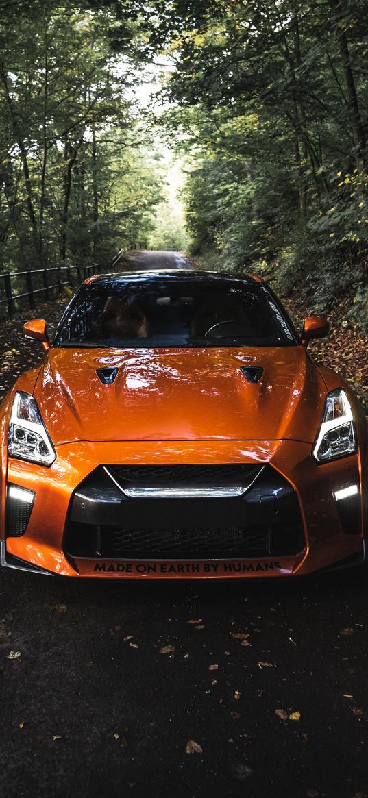 nissan gtr, nissan, sports car, car, orange, forest