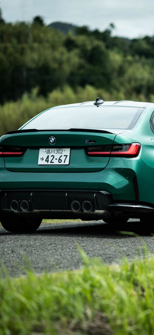 bmw m3, bmw, sports car, car, green, road, grass, forest, nature