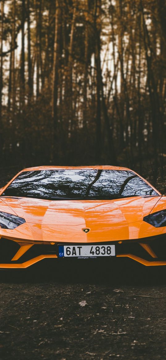 lamborghini huracan, lamborghini, sports car, car, orange, forest