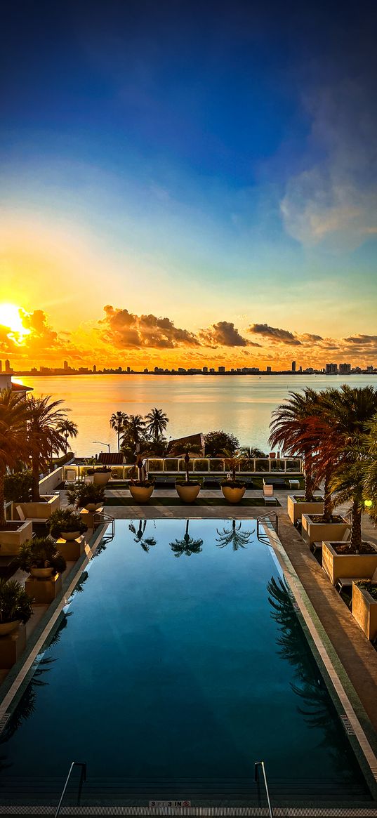 pool, palm trees, beach, sunset, miami