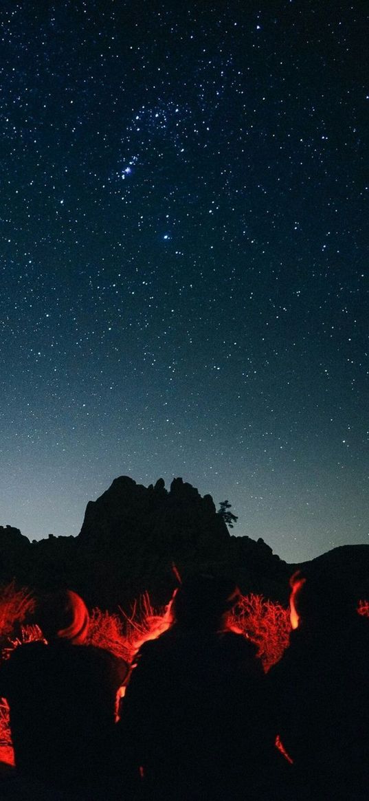 bushland, mountain, man, lanterns, starry sky, night