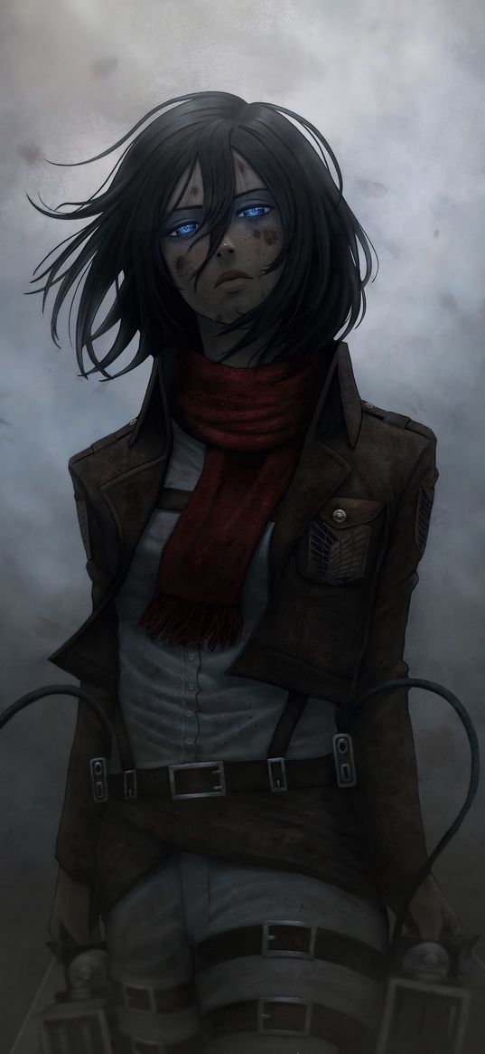 attack on titan, mikasa ackerman, girl, anime, art