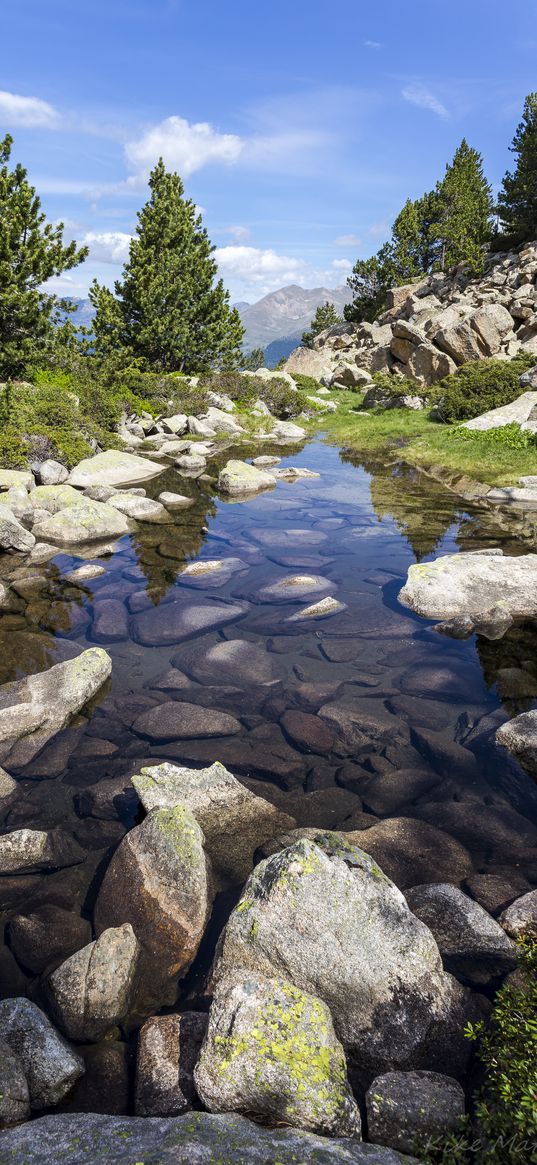 stones, stream, trees