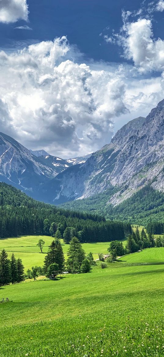 mountain, green, kyrgyzstan