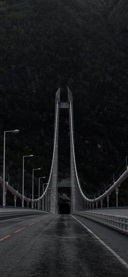 road, bridge, tunnel, trees