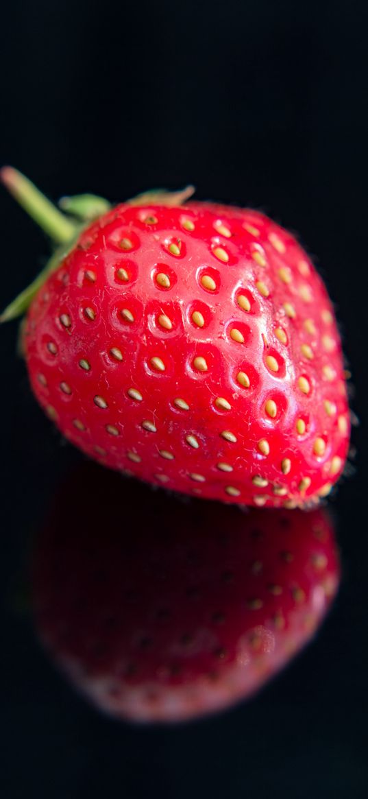 strawberry, berry, macro, red, black