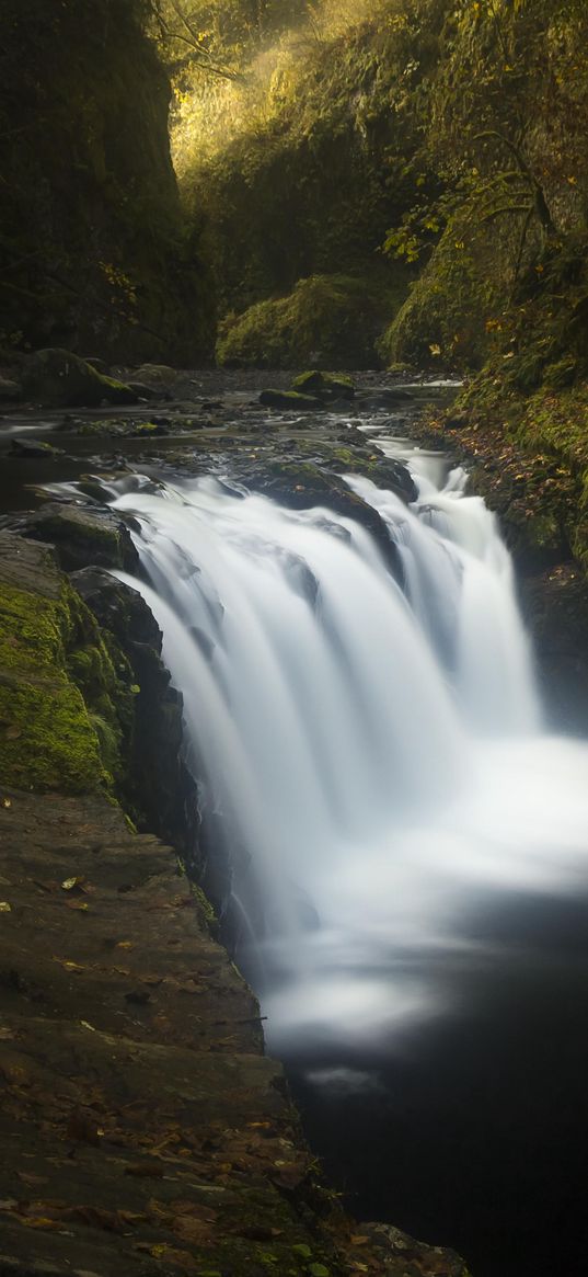 river, cascade, trees, nature