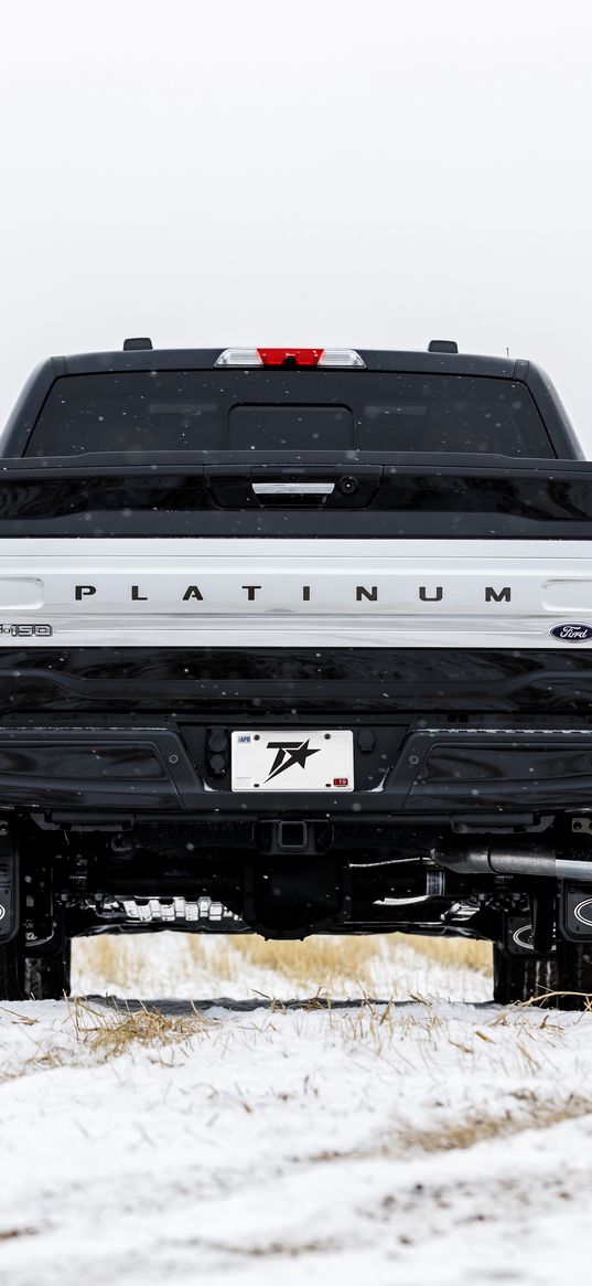 ford platinum, ford, car, black, suv, back view