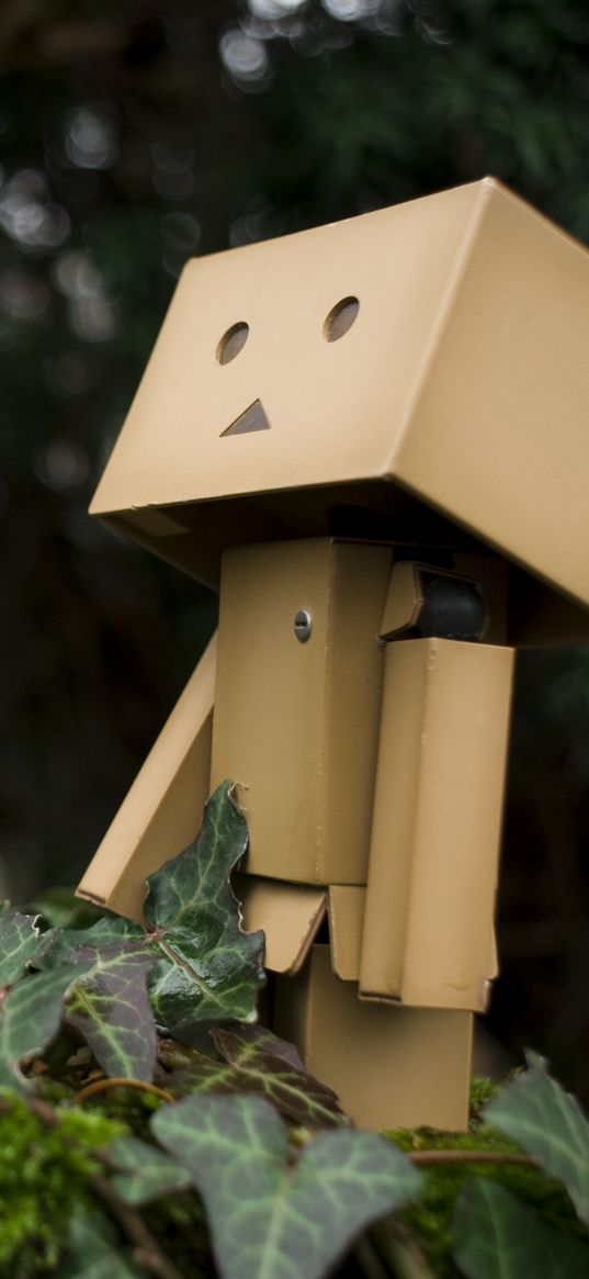 danboard, grass, walk, close-up, mood