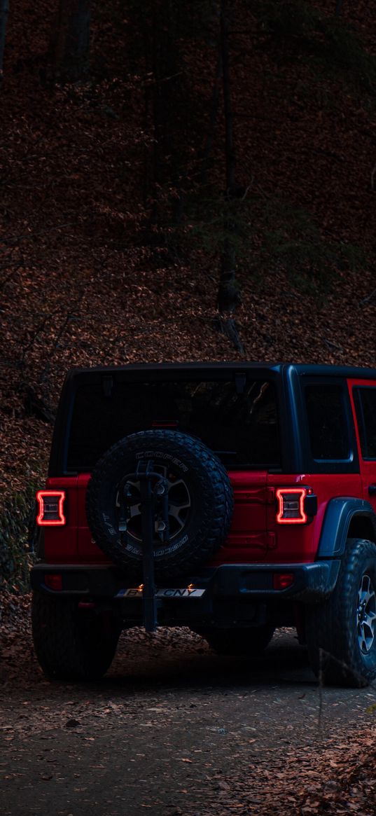 jeep wrangler, jeep, car, red, forest, autumn