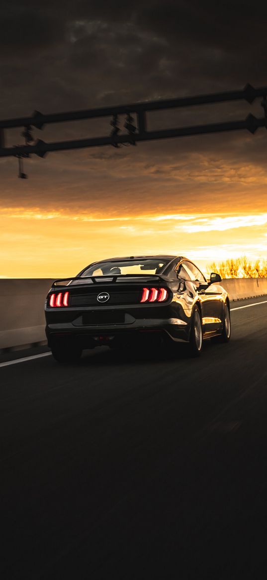 ford mustang, ford, car, black, sunset