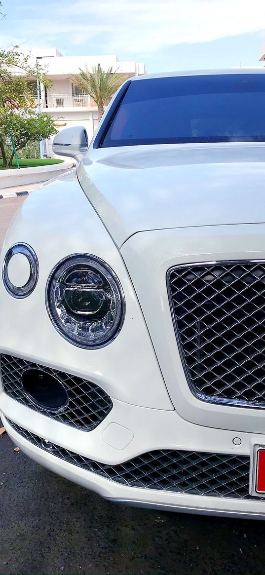 bentley, car, white, headlight