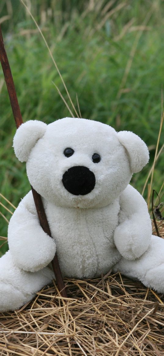 white, toy, teddy bear, mood, walk, hay, grass