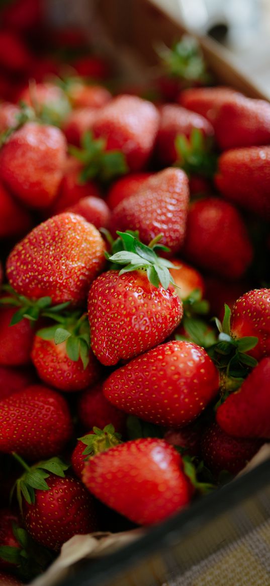 strawberries, berries, red, food