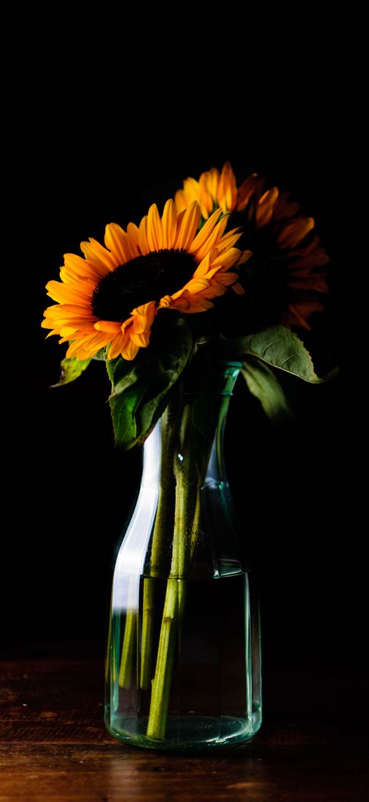 sunflowers, flowers, petals, vase