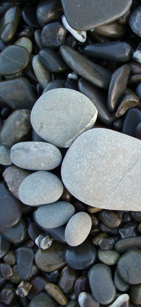 pebbles, stones, foot