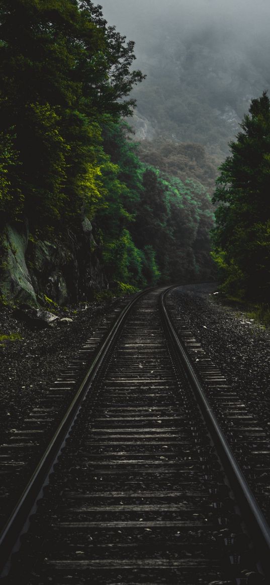 railway, trees, forest, nature