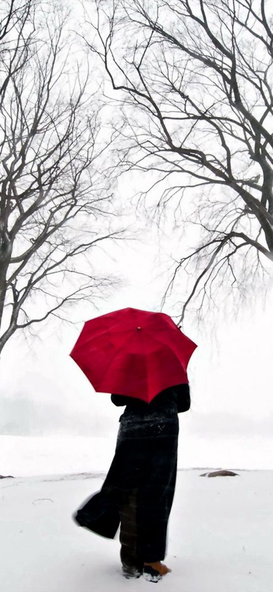 girl, umbrella, cherry, snow, japan