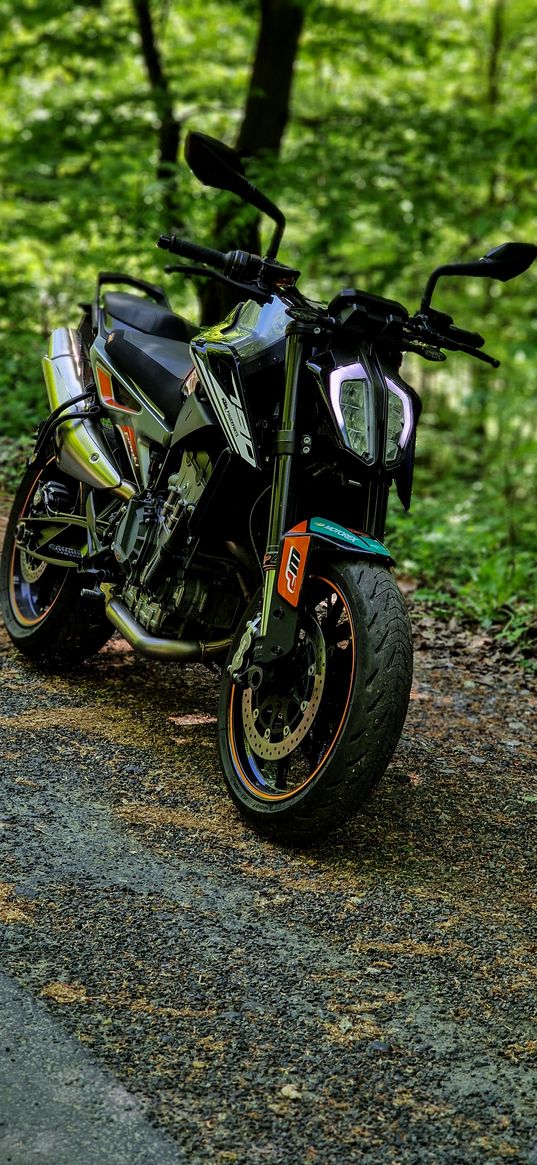 ktm duke, duke, motorcycle, bike, black, forest, road