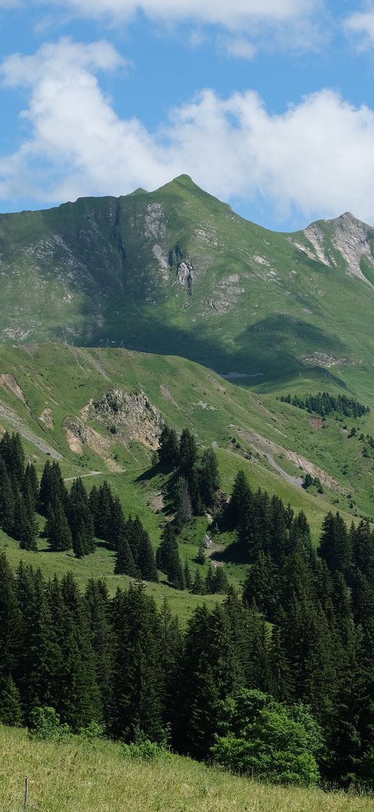 mountains, slopes, trees, landscape