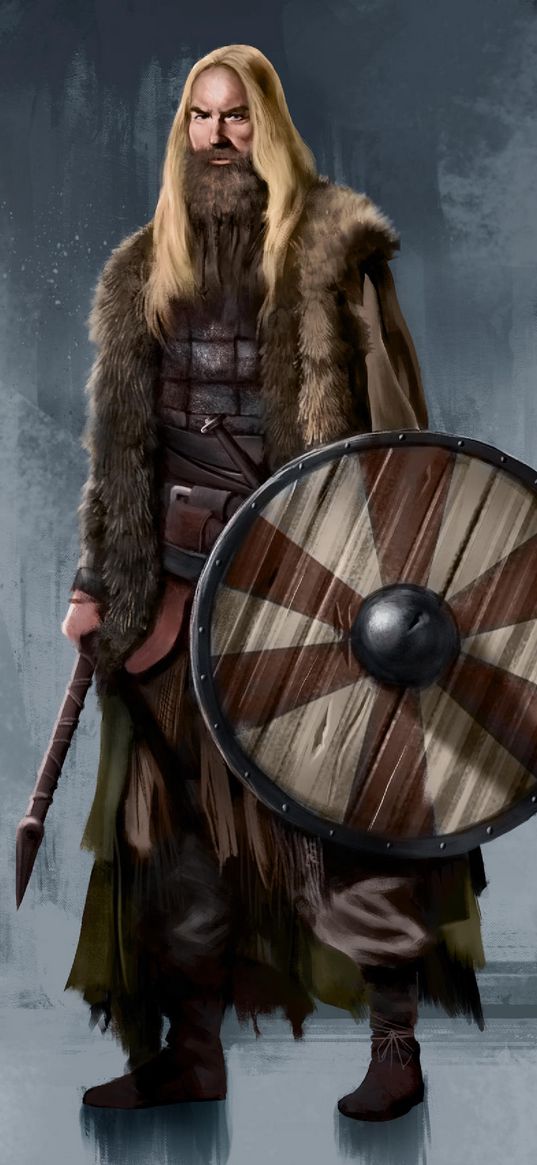 vikings, art, axe, shield