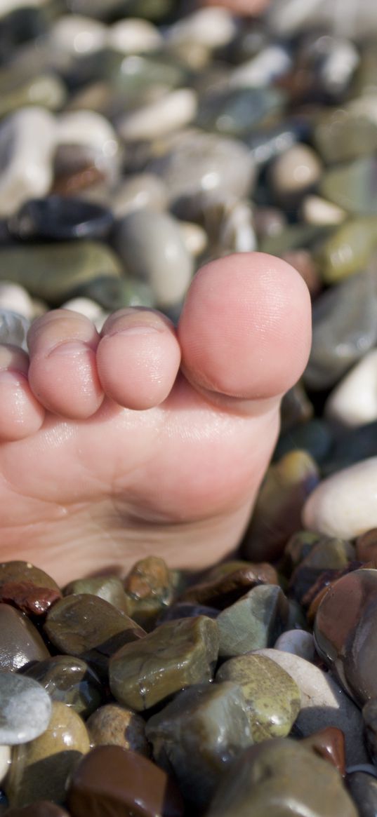 summer, sea, legs, pebble, beach, funny, situation