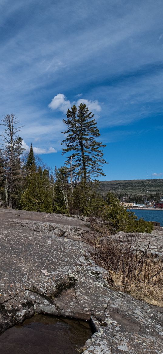 island, reefs, stones, trees