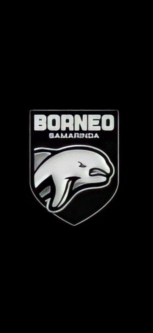 borneo, football club, football, logo, black background