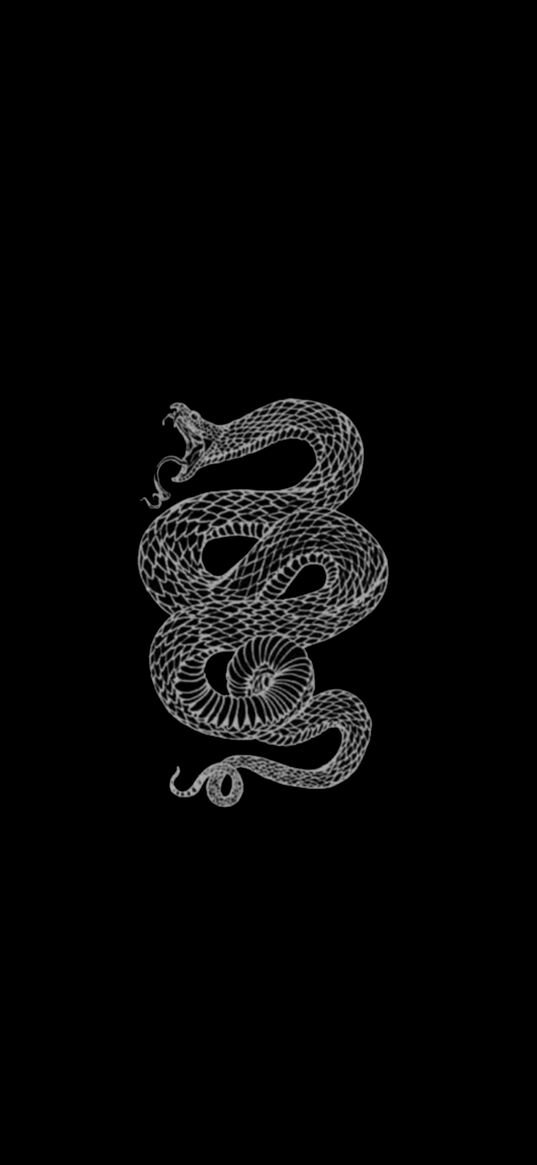 snake, mouth, black background, art