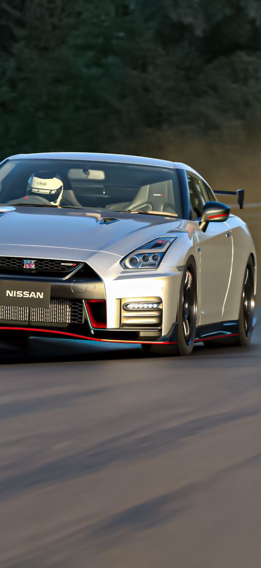 nissan gt-r, nissan, car, sports car, gray, speed