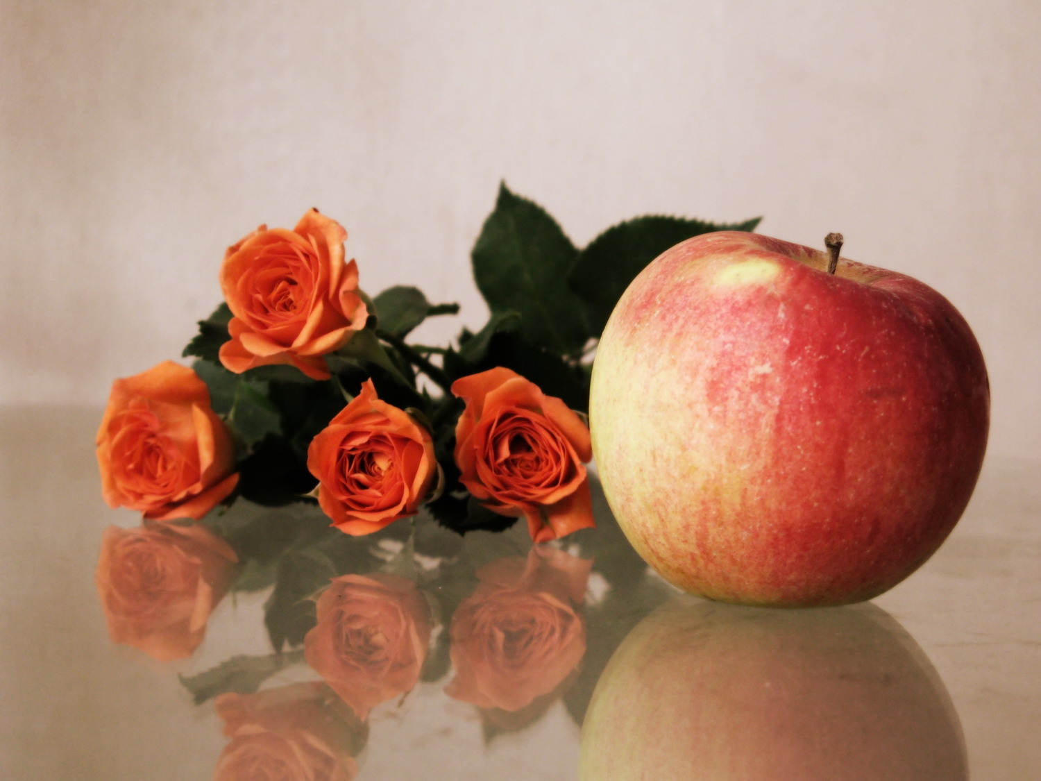 roses, flowers, flower, apple, reflection