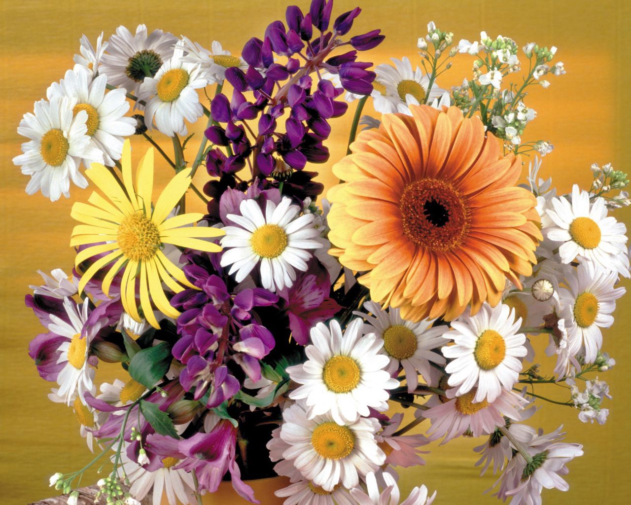 gerbera, daisies, flowers, bouquet, decoration, vase, beauty