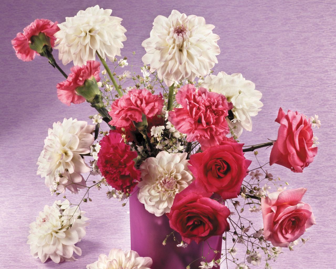 roses, dahlias, carnations, flowers, bouquet, vase, beauty