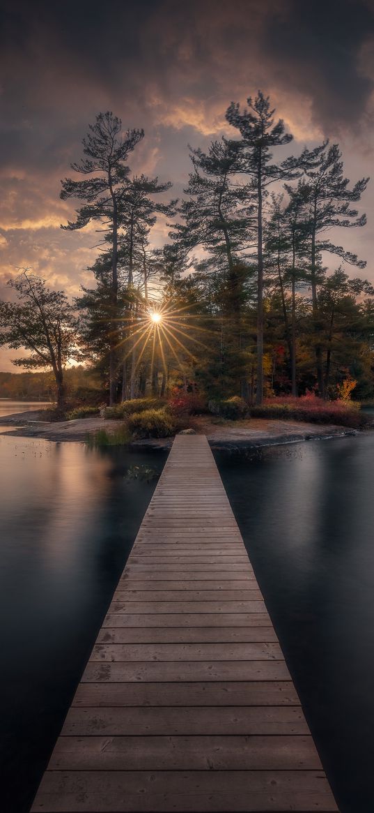 bridge, lake, island, trees, sun, nature