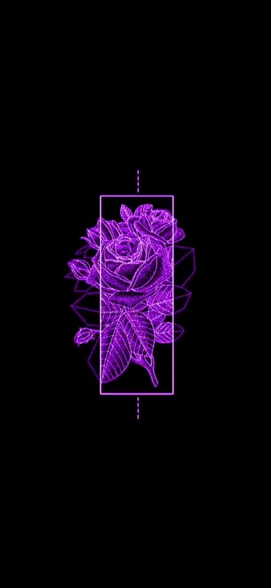 rose, flower, frame, purple, black background, art