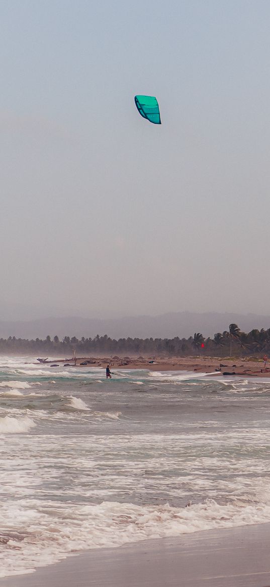 kite, man, water, beach, kitesurfing