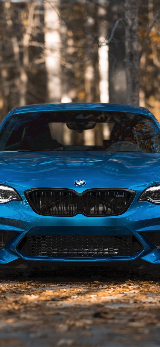 bmw m2, bmw, car, blue, front view