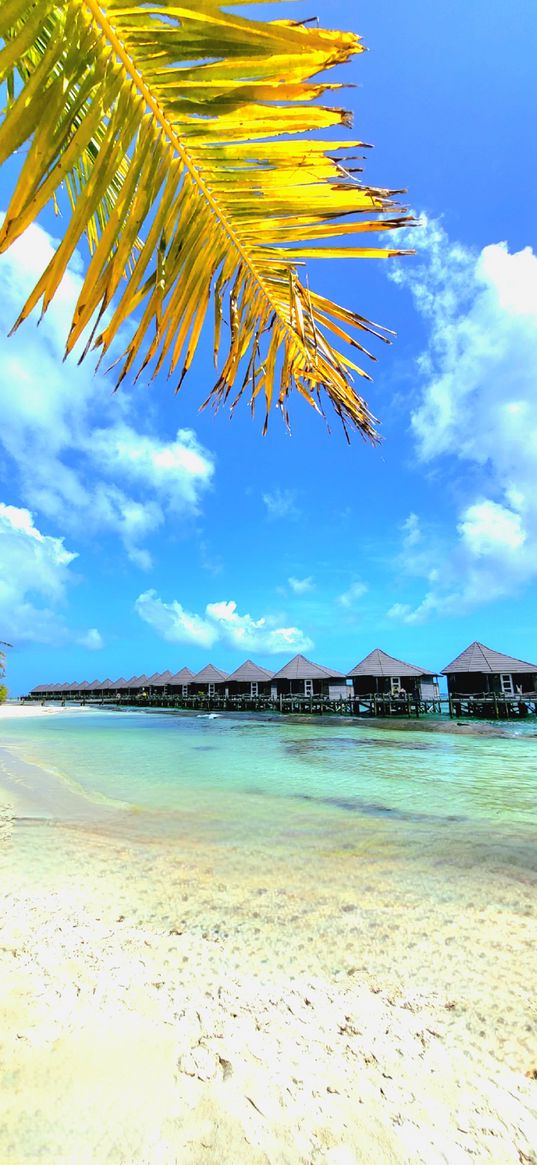 bungalows, cabins, beach, ocean