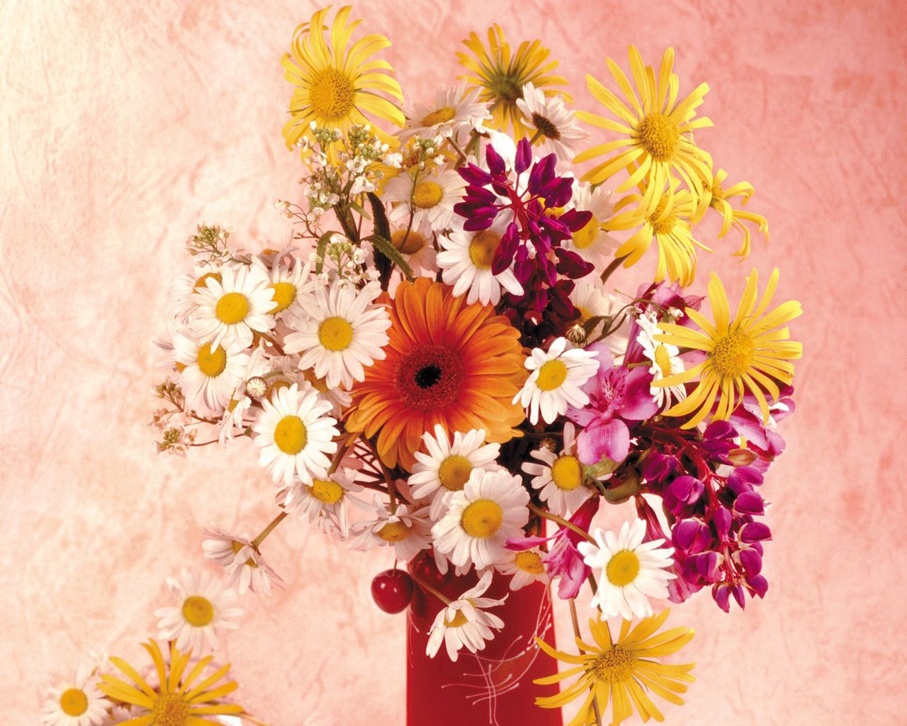 daisies, gerbera, flower, cherry, vase, composition