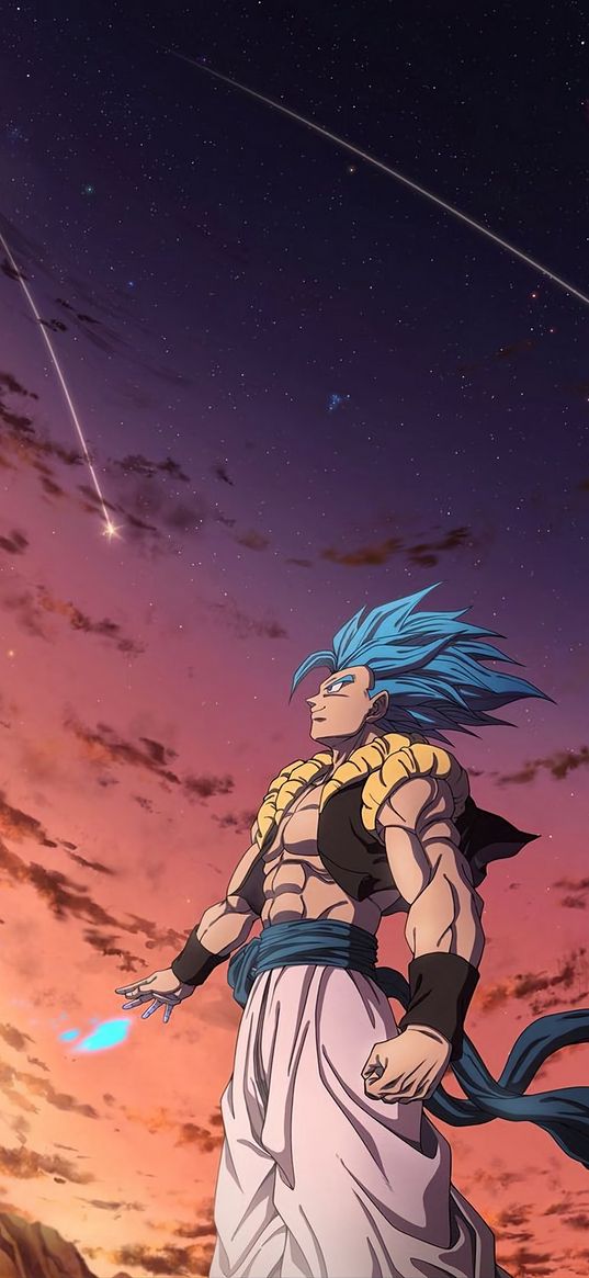 gogeta, dragon ball, anime, fighter, warrior, guy, comets, stars, clouds, sunset, art