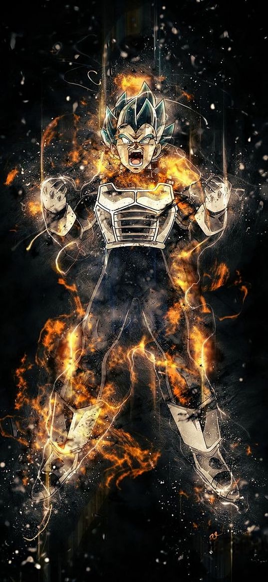 vegeta, dragon ball, anime, fighter, warrior, evil, super power, art