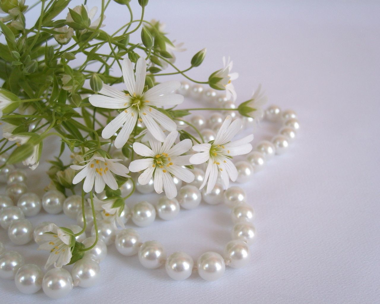 flowers, white, small, beads, pearls