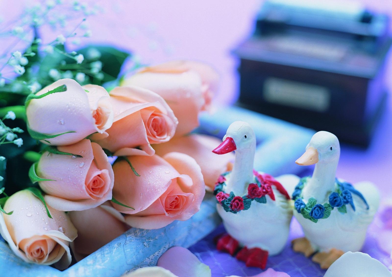 roses, flowers, bouquet, gypsophila, drops, geese