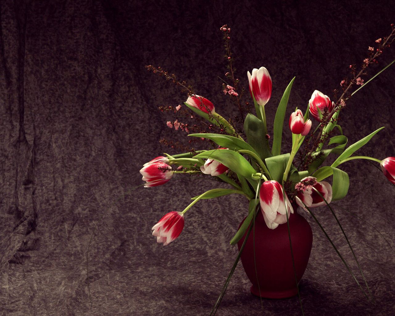 tulips, colorful, flowers, vase, flower, song