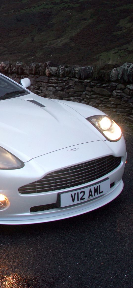 aston martin, v12, vanquish, 2004, white, front view, nature