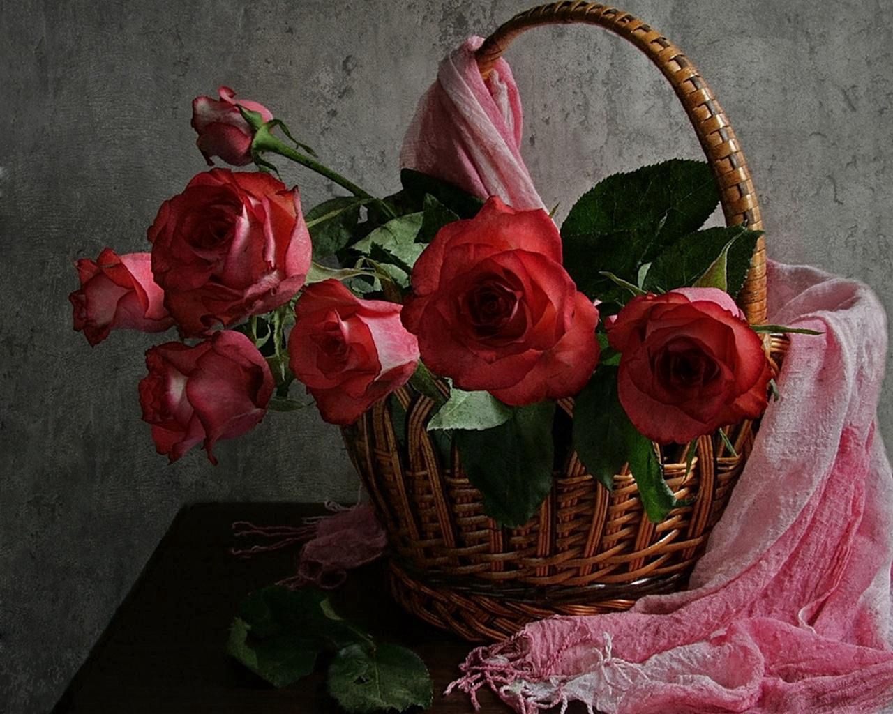 roses, flowers, leaves, trash, tippet, table, wall