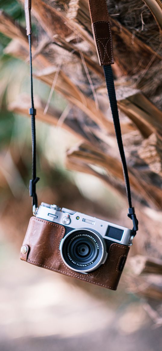 camera, palm tree, bokeh, technique