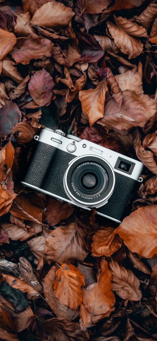 photo camera, camera, fujifilm, leaves, autumn, nature