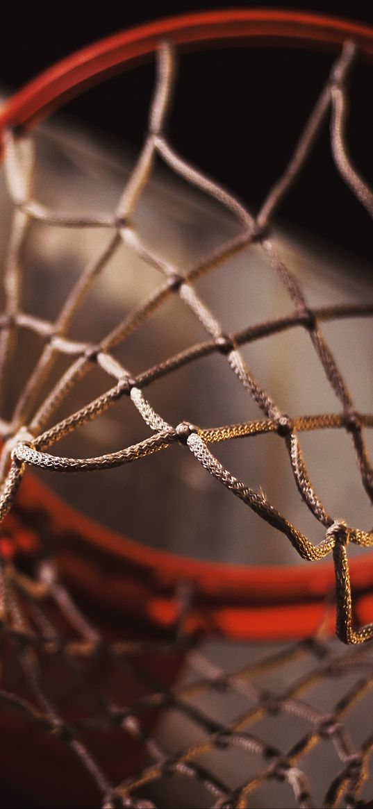 basketball hoop, net, basketball, sports, blur